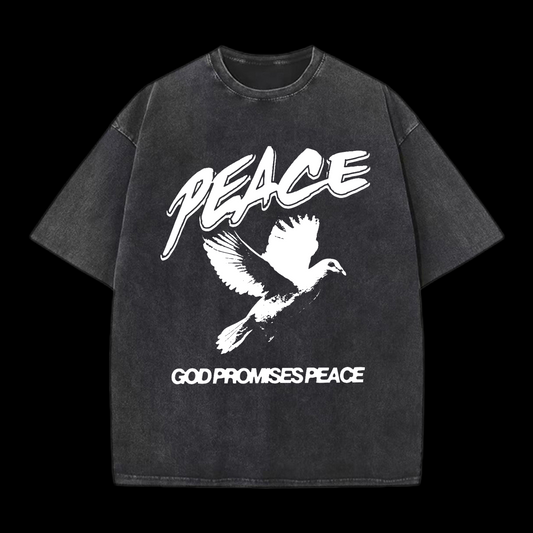Peace Washed T-Shirt