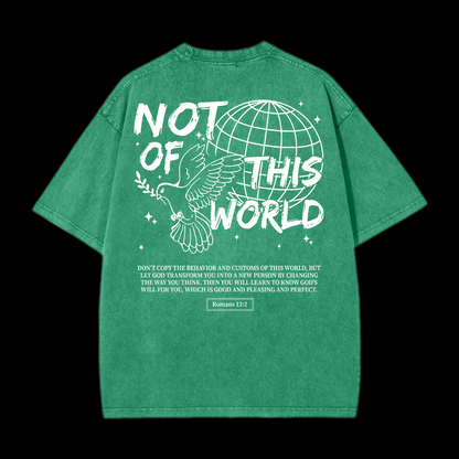 Not Of This World Washed T-Shirt