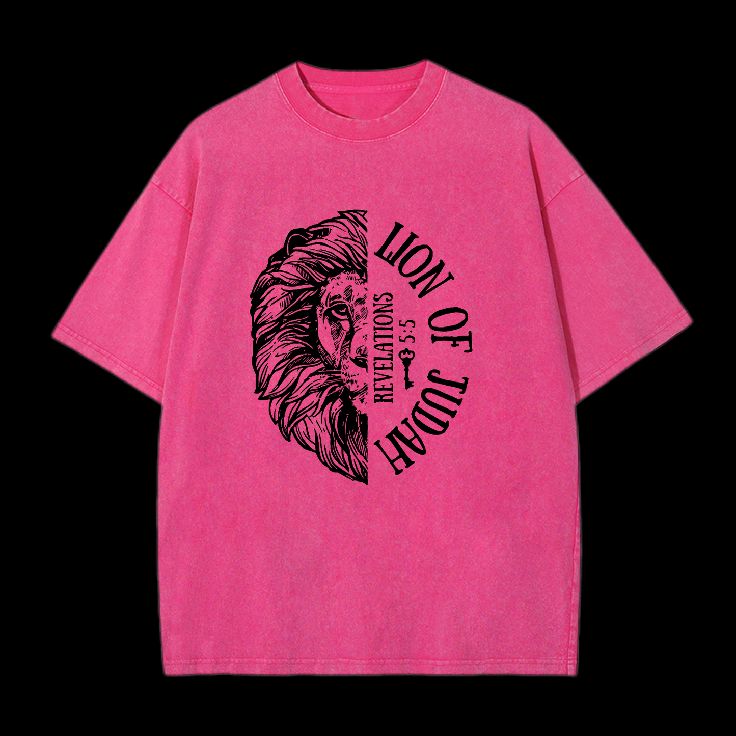 Lion Of Judah Washed T-Shirt