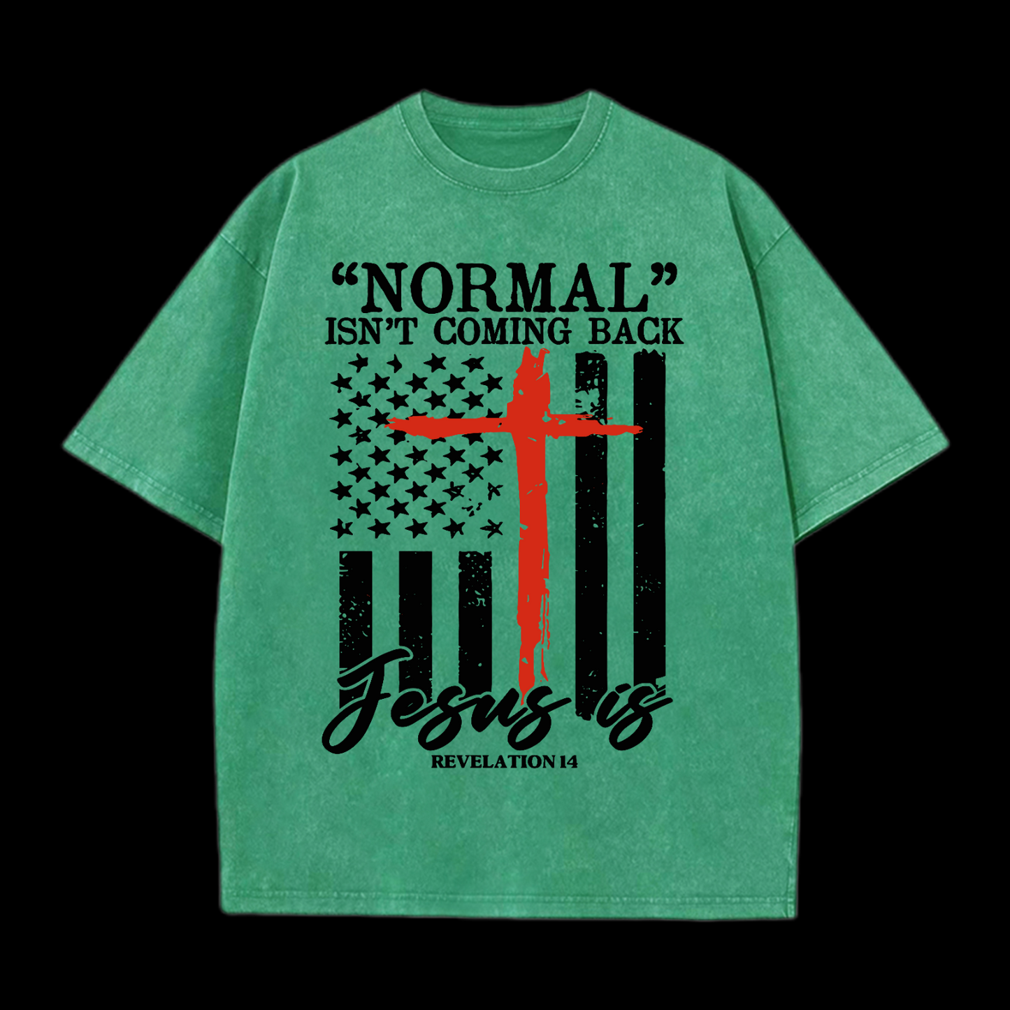 Normal Isn't Coming Back Washed T-Shirt