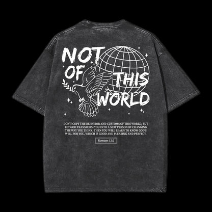 Not Of This World Washed T-Shirt